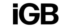 Icône du portail igamingbusiness.com